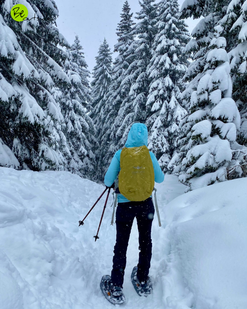 Ciaspolata-Trekking per principianti