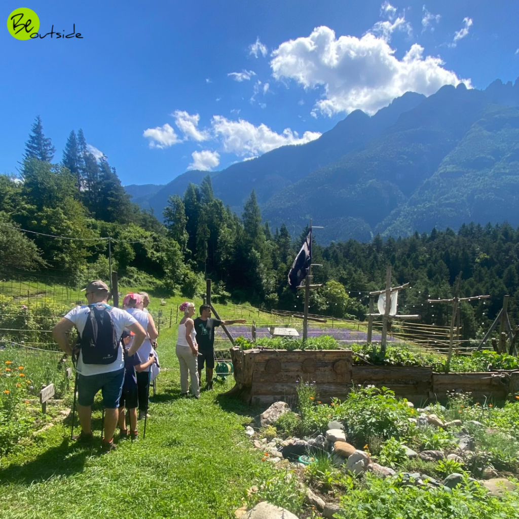 Cadore, azienda agricola Damos-Trekking per principianti