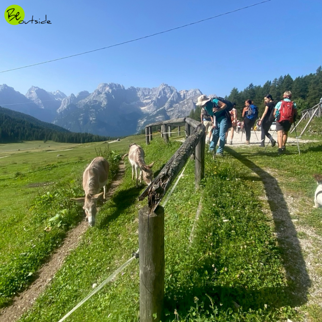 Trekking per principianti