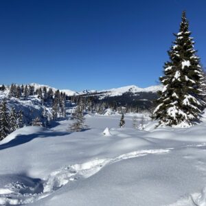 Comelico giro delle malghe