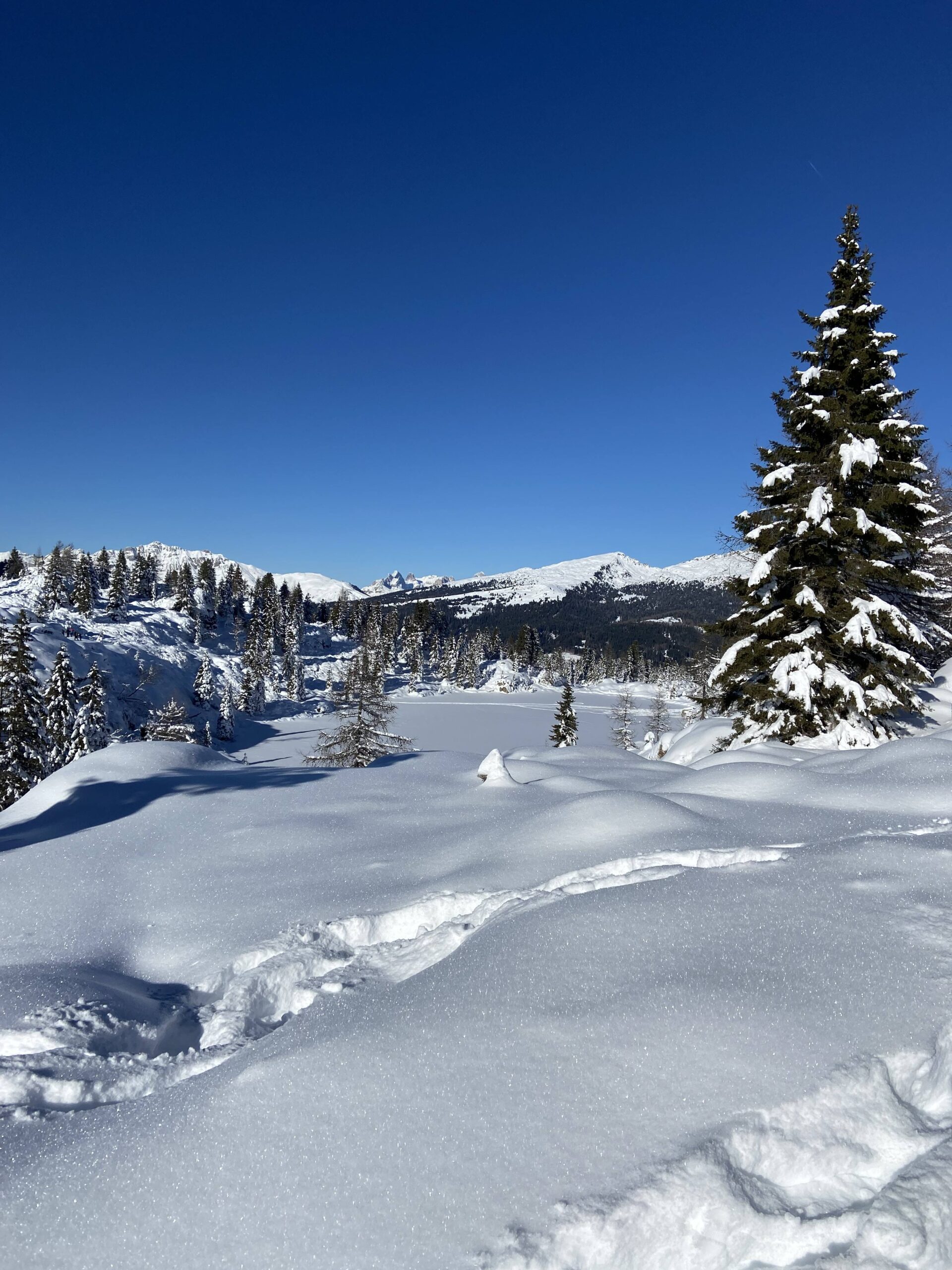 Comelico giro delle malghe