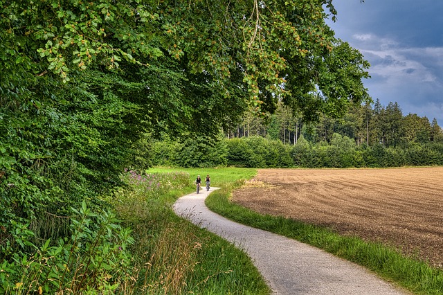 ciclabile degli ezzelini